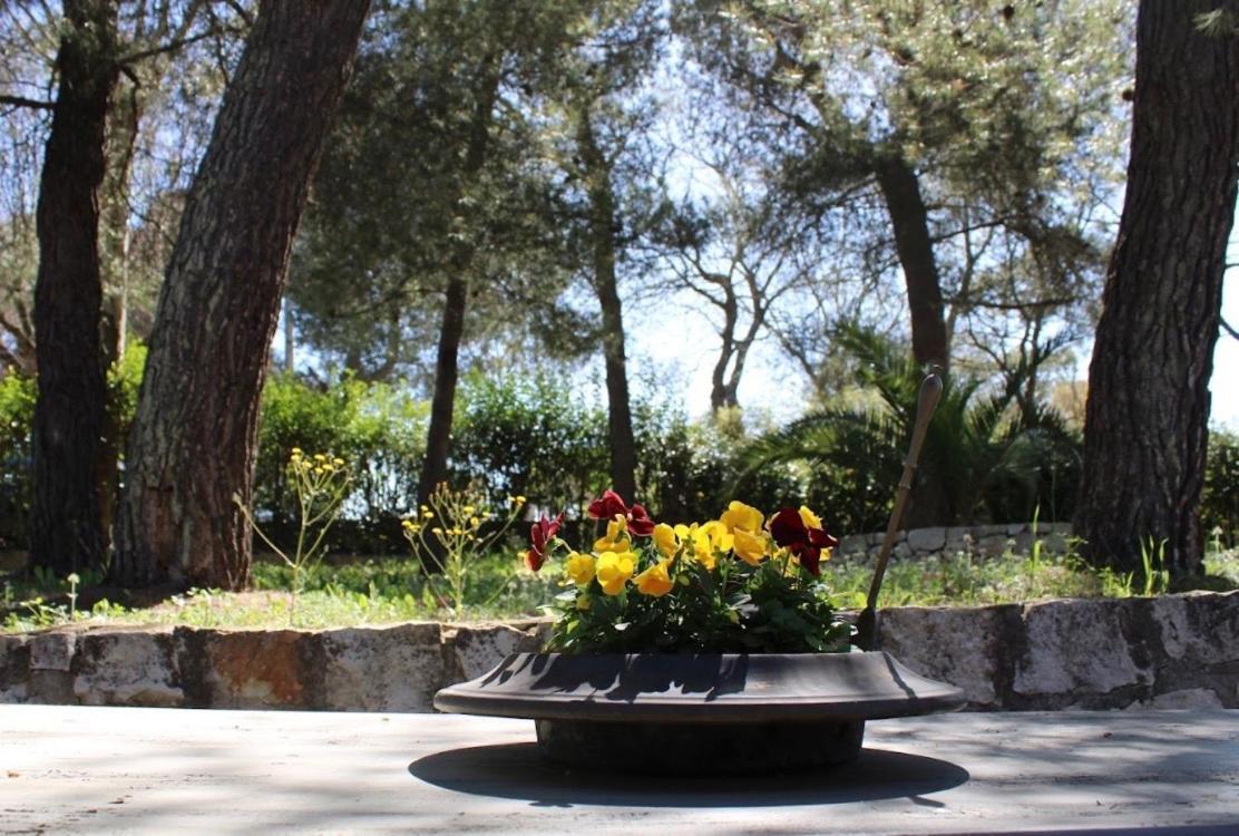 Trulli Pinnacoli Locorotondo Extérieur photo